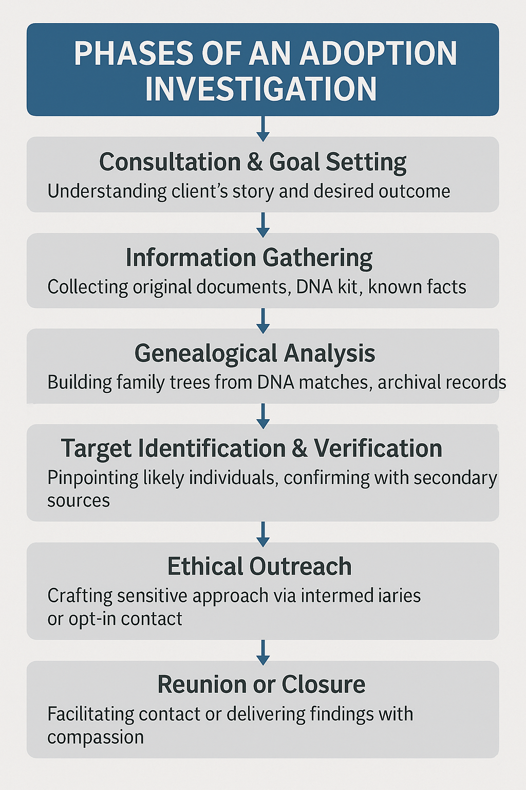 Phases of Adoption Investigation Process Diagram